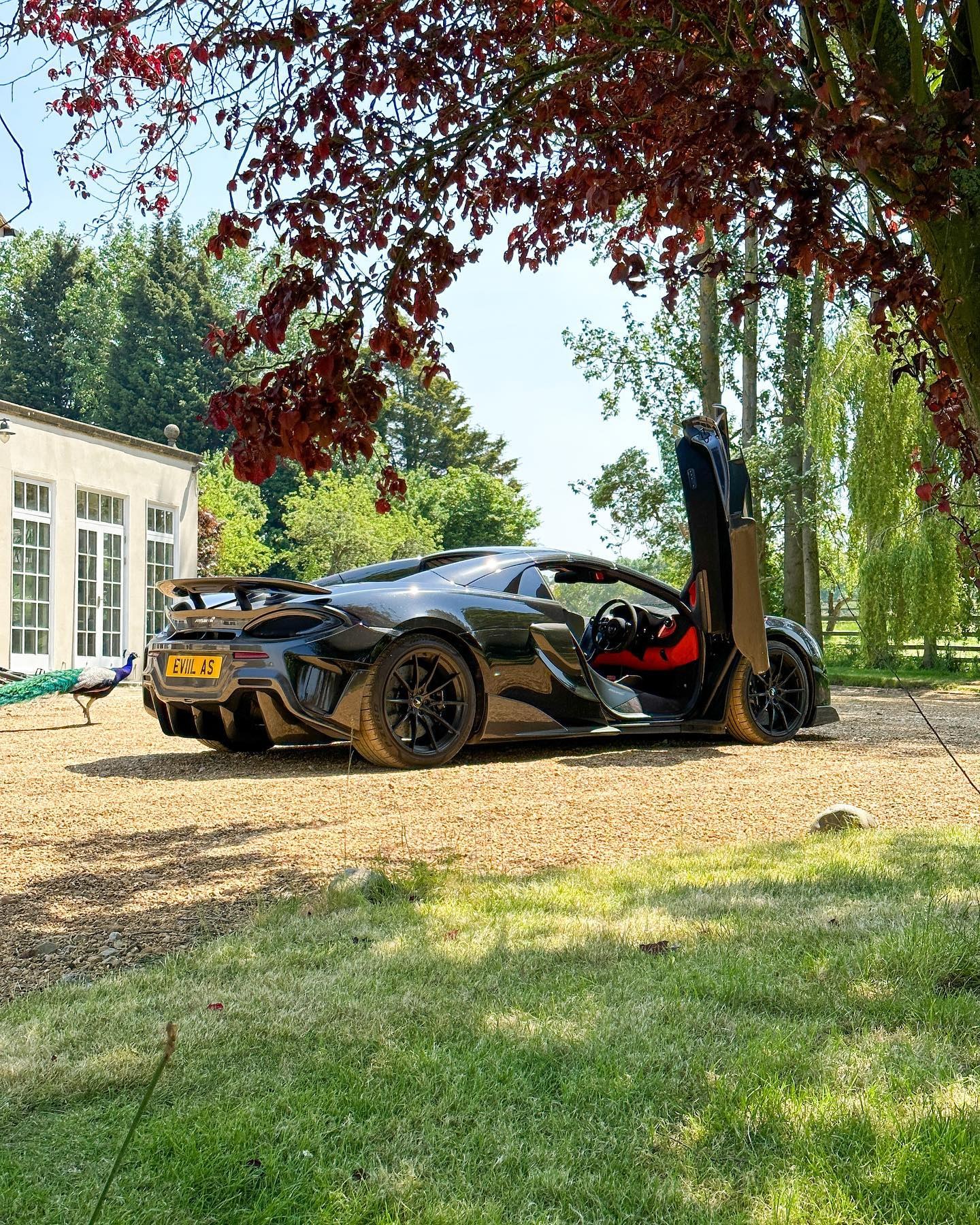 2019 McLaren 600LT