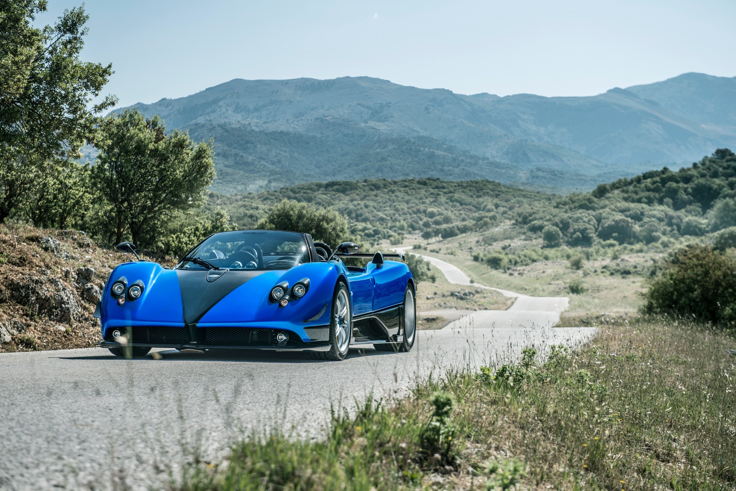 2010 Pagani Zonda HH